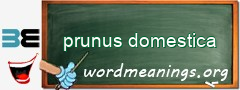 WordMeaning blackboard for prunus domestica